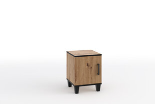 Yöpöytä ADRK Furniture POL14, ruskea hinta ja tiedot | Yöpöydät | hobbyhall.fi