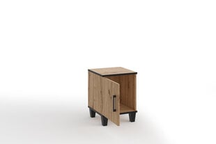 Yöpöytä ADRK Furniture POL14, ruskea hinta ja tiedot | Yöpöydät | hobbyhall.fi