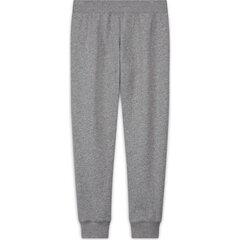 Nike lasten verryttelyhousut Club DC7207*091, vaaleanharmaa hinta ja tiedot | Tyttöjen leggingsit ja housut | hobbyhall.fi