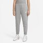 Nike lasten verryttelyhousut Club DC7207*091, vaaleanharmaa hinta ja tiedot | Tyttöjen leggingsit ja housut | hobbyhall.fi