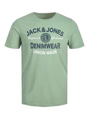 Jack & Jones lasten t-paita 12213081*02, minttu hinta ja tiedot | Poikien paidat | hobbyhall.fi