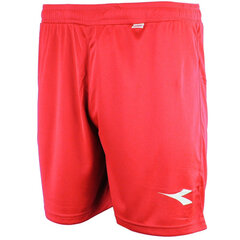 Diadora miesten treenishortsit Houston 1233012-45030-XXL hinta ja tiedot | Miesten shortsit | hobbyhall.fi