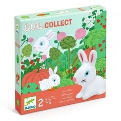 Djeco Little collect -lautapeli lapsille, Dj08558 hinta ja tiedot | Lautapelit ja älypelit | hobbyhall.fi