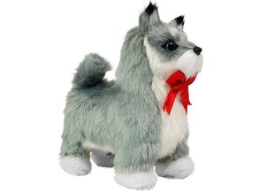 Vuorovaikutteinen lelu pentu, Husky hinta ja tiedot | Pehmolelut | hobbyhall.fi