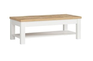 Sohvapöytä BRW Dreviso, valkoinen/tammen värinen hinta ja tiedot | Sohvapöydät | hobbyhall.fi
