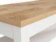 Sohvapöytä BRW Dreviso, valkoinen/tammen värinen hinta ja tiedot | Sohvapöydät | hobbyhall.fi