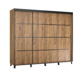 ADRK Furniture Berke Vaatekaappi 250 cm, ruskeana hinta ja tiedot | Kaapit | hobbyhall.fi