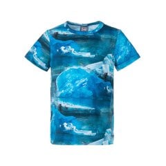 Lenne lasten t-paita Terry 23914*6589, sininen/valkoinen hinta ja tiedot | Poikien paidat | hobbyhall.fi
