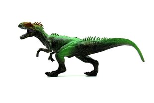 Sarja dinosaurushahmoja 3 vuotta+, 7 kpl. hinta ja tiedot | Poikien lelut | hobbyhall.fi