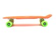 Rullalauta Pennyboard 55 cm hinta ja tiedot | Skeittilaudat | hobbyhall.fi