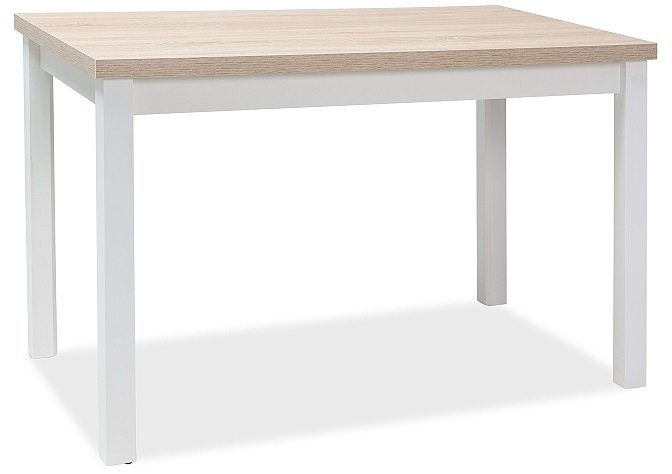 Adam DSB pöytä, 60x100 cm, vaalea tammi / valkoinen hinta ja tiedot | Ruokapöydät | hobbyhall.fi