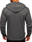 J.Style Huppari Fleece Grey 68B2008-5 68B2008-5/M hinta ja tiedot | Miesten puserot ja hupparit | hobbyhall.fi