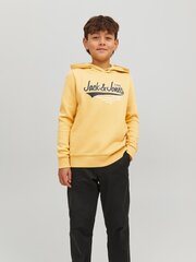 Jack & Jones lasten collegepaita 12212287*03, sinappi hinta ja tiedot | Poikien puserot, liivit ja jakut | hobbyhall.fi