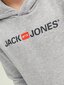 Jack & Jones lasten pusero 12212186*01, vaaleanharmaa hinta ja tiedot | Poikien puserot, liivit ja jakut | hobbyhall.fi