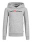 Jack & Jones lasten pusero 12212186*01, vaaleanharmaa hinta ja tiedot | Poikien puserot, liivit ja jakut | hobbyhall.fi