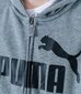Puma lasten collegepaita 586968*03, harmaa hinta ja tiedot | Poikien puserot, liivit ja jakut | hobbyhall.fi