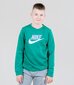 Nike Sportswear Club lasten collegepaita CV9297*365, vihreä hinta ja tiedot | Poikien puserot, liivit ja jakut | hobbyhall.fi