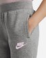 Nike lasten verkkarit 36I255*GEH, harmaa hinta ja tiedot | Tyttöjen leggingsit ja housut | hobbyhall.fi