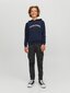 Jack & Jones lasten collegepaita 12220968*03, tummansininen hinta ja tiedot | Poikien puserot, liivit ja jakut | hobbyhall.fi