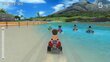 Nintendo Switch peli Go Vacation hinta ja tiedot | Tietokone- ja konsolipelit | hobbyhall.fi