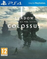 PS4 Shadow of The Colossus hinta ja tiedot | Tietokone- ja konsolipelit | hobbyhall.fi