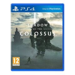 PS4 Shadow of The Colossus hinta ja tiedot | Tietokone- ja konsolipelit | hobbyhall.fi