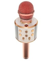 Karaoke-mikrofoni Bluetoothilla ja kaiuttimella - Vaaleanpunainen hinta ja tiedot | Kehittävät lelut | hobbyhall.fi