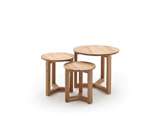 3 pöydän setti Faye, ruskea hinta ja tiedot | Sohvapöydät | hobbyhall.fi