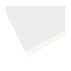 Seinähylly Floorpol 260x60 cm, valkoinen hinta ja tiedot | Hyllyt | hobbyhall.fi