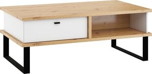 Sohvapöytä Meblocross Cross Cro-13 2SP, ruskea/valkoinen hinta ja tiedot | Sohvapöydät | hobbyhall.fi