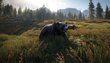 PlayStation 4 peli : theHunter: Call of the Wild 2019 Edition hinta ja tiedot | Tietokone- ja konsolipelit | hobbyhall.fi