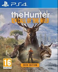 PlayStation 4 peli : theHunter: Call of the Wild 2019 Edition hinta ja tiedot | Tietokone- ja konsolipelit | hobbyhall.fi