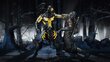 PlayStation 4 peli Mortal Kombat X hinta ja tiedot | Tietokone- ja konsolipelit | hobbyhall.fi