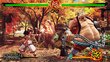 SAMURAI SHODOWN hinta ja tiedot | Tietokone- ja konsolipelit | hobbyhall.fi