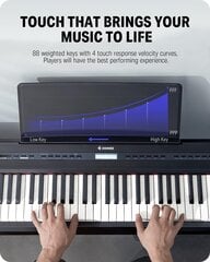 Donner DEP-20 Digital Piano 88 Key täysikokoinen painotettu näppäimistö, kannettava sähköpiano Sustain-pedaalilla, virtalähde hinta ja tiedot | Donner Kodinkoneet ja kodinelektroniikka | hobbyhall.fi