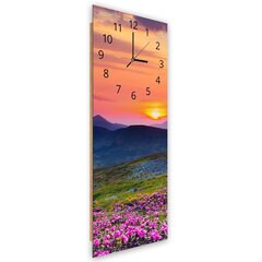 Seinäkello, Vuoristoniitty auringonlaskun aikaan, 40x118 cm hinta ja tiedot | Kellot | hobbyhall.fi