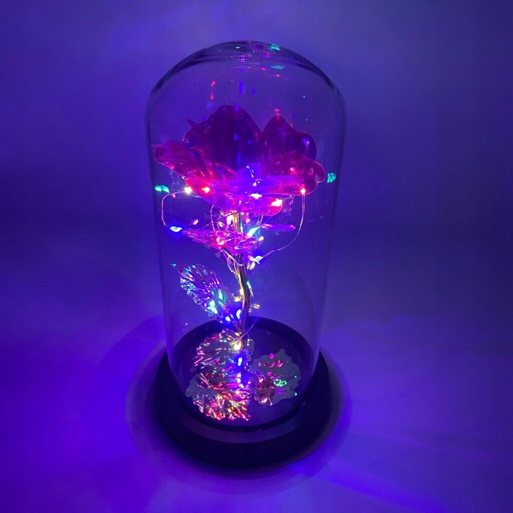 ETERNAL ROSE LED-TAUSTAVALOLLA hinta ja tiedot | Muut hauskat lahjaideat | hobbyhall.fi