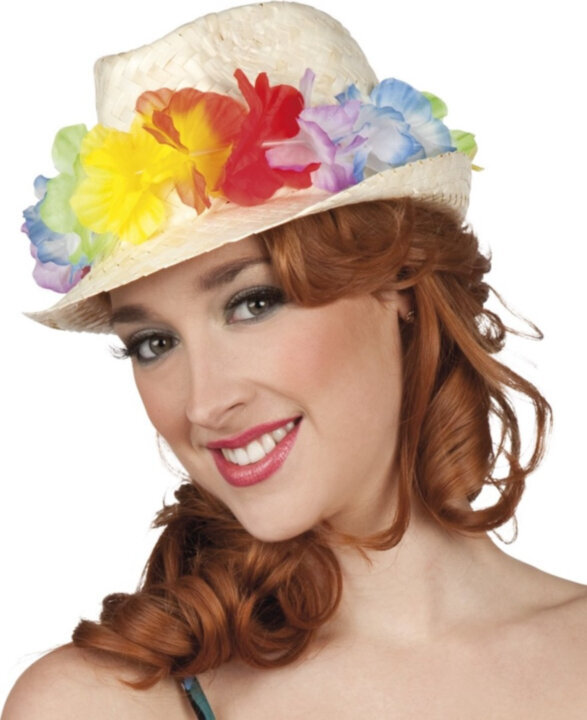 Aruba Havaijilainen hattu, L (59cm) hinta ja tiedot | Naamiaisasut | hobbyhall.fi