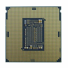 Intel Intel S1151 XEON E-2234 BOX 4x3.6 71W hinta ja tiedot | Prosessorit | hobbyhall.fi