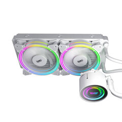 Darkflash Darkflash TR240 PC vesijäähdytys AiO RGB 2x 120x120 (valkoinen) hinta ja tiedot | Tietokoneen tuulettimet | hobbyhall.fi