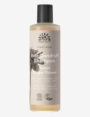 URTEKRAM Sweet Ginger Flower shampoo, 250ml hinta ja tiedot | Shampoot | hobbyhall.fi