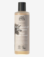 URTEKRAM Sweet Ginger Flower shampoo, 500ml hinta ja tiedot | Shampoot | hobbyhall.fi