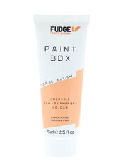 Paintbox puolipysyvä hiusväri Coral Blush 75ml hinta ja tiedot | Fudge Hajuvedet ja kosmetiikka | hobbyhall.fi