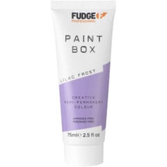 Paintbox Creative Semi Permanent Color - Pysyvä maali 75 ml, Lilac Frost hinta ja tiedot | Fudge Professional Hajuvedet ja kosmetiikka | hobbyhall.fi