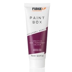 Paintbox Creative Semi Permanent Color - Pysyvä maali 75 ml, Raspberry Beret hinta ja tiedot | Hiusvärit | hobbyhall.fi