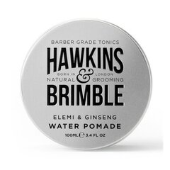 Vesipohjainen hiuslakka (Elemi & Ginseng Water Pomade) 100 ml hinta ja tiedot | Kampaamotuotteet | hobbyhall.fi
