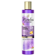 Pro-V Miracles Strength & Anti-Brassiness (violetti shampoo) hinta ja tiedot | Pantene Hajuvedet ja kosmetiikka | hobbyhall.fi