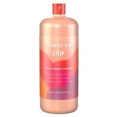 Color Perfect Shampoo shampoo värjätyille hiuksille 1000ml hinta ja tiedot | Inebrya Hiustenhoitotuotteet | hobbyhall.fi