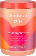 Color Perfect Mask naamio värjätyille hiuksille 1000ml hinta ja tiedot | Inebrya Hiustenhoitotuotteet | hobbyhall.fi