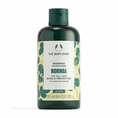 Shampoo himmeille hiuksille Moringa (Shampoo) hinta ja tiedot | Shampoot | hobbyhall.fi